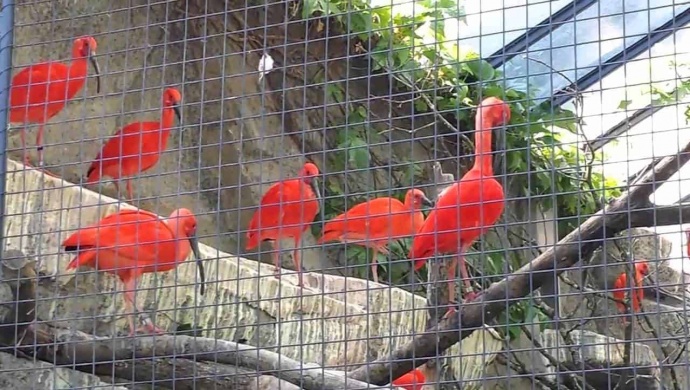 حديقة حيوانات بورصا